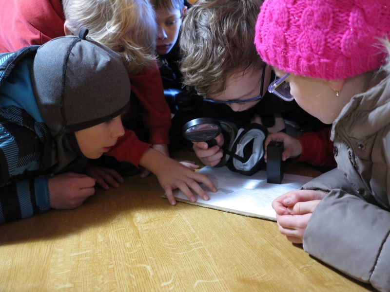 Detektivové v zácviku